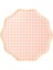 - Gingham Plates - Damalı Tabaklar - L - 12'li 5