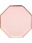 - Dusky Pink Plates - Toz Pembe Tabaklar - L - 8'li 1