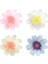 - Flower Garden Plates - Çiçek Bahçesi Tabaklar - L - 8'li 1