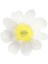 - Flower Garden Plates - Çiçek Bahçesi Tabaklar - L - 8'li 2