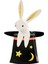 - Bunny In Hat Shaped Plates - Sihirbaz Şapkası Tabak 1