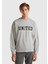 Erkek Gri Sweatshırt (Model Kodu: 124A342ZU1094 ) 1