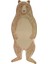 - Brown Bear Plates - Ayı Tabak 1