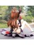 Sevmek Ru Darkness Yuuki Mikan Pvc Action Figure Kawaii Kız Lala Araba Dekorasyon Kız Karakter Modeli Bebek Oyuncak Figürler (Yurt Dışından) 2