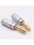 4 Adet Muz Konektörü 4mm Hoparlör Muz Fişleri 24K Bakır Altın Kaplama 4mm Muz Jakı, 4mm Bağlama Sütunu ile Eşleşir Nakamichi Banana Plug Düz Muz Uç ( 4 Adet ) 2