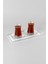 Bar Tipi Pleksi Servis ve Sunum Tepsisi 30 x 13 cm 5