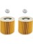 Karcher Uyumlu Wd2 / Wd3 Kartuş Filtre (2 Adet) 1