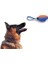 Köpek Diş Kaşıma Oyun Topu 1