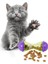 İnteraktif Kedi Ödül Mamalı Oyuncak 4