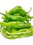 Ata Tohumları Geleneksel Italian Long Hot Chile Acı Biber Tohumu (10 Adet) 1