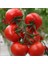 Bt Serenay F1 Hibrit Sırık Salkım Domates Tohumu (10 Tohum) 1