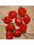 Habernero Red Small Çok Acı Biber Tohumu(15 Adet) 1
