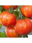 Alacalı Tigerella Domates Tohumu (15 Tohum) 1