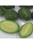 Ata Tohumları Geleneksel Meriç Turşuluk Kavun Tohumu (20 Tohum) 1