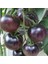 Nadir Black Cherry Siyah Domates Tohumu (15 Tohum) 1