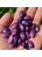 Geleneksel Purple Sırık Fasulye Tohumu (10 Tohum) 1