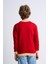 Desenli Çocuk Sweatshirt (C23-0010U) 4