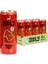 Mınty Melon Karpuz Nane Kutu 250 ml x 8 Adet 2