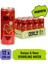 Mınty Melon Karpuz Nane Kutu 250 ml x 12 Adet 1