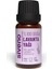 Doğal Lavanta Uçucu Yağı 10 ml 6