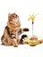 Yeni Kedi Oyuncağı Sızdıran Yiyecek Bardağı Kedi Döner Tablası Kedi Eğlenceli Eser Kedi Kendi Kendine Eğlence Çok Amaçlı Evcil Hayvan Oyuncağı (Yurt Dışından) 2