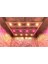 Citi 12 Pro 320W Full Spectrum Grow LED Lamba 3