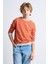 Alexandergardı Çizgili Bisiklet Yaka Çocuk Sweatshirt 1