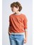 Alexandergardı Çizgili Bisiklet Yaka Çocuk Sweatshirt 2