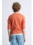 Alexandergardı Çizgili Bisiklet Yaka Çocuk Sweatshirt 3