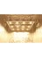 Citi 12 320W Full Spectrum Grow LED Lamba 3