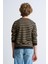 Alexandergardı Çizgili Bisiklet Yaka Çocuk Sweatshirt 5