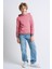 Alexandergardı Kanguru Cepli Kapüşonlu Çizgili Çocuk Sweatshirt 1