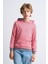 Alexandergardı Kanguru Cepli Kapüşonlu Çizgili Çocuk Sweatshirt 2