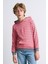 Alexandergardı Kanguru Cepli Kapüşonlu Çizgili Çocuk Sweatshirt 3