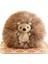 38CM Wulula Kirpi Yuvarlak Top Yastık Peluş Oyuncak Yastık (Yurt Dışından) 2