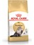 Persian Adult Yetişkin İran Kedi Maması 2 Kg 2
