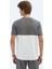 Gri Düz Bisiklet Yaka T-Shirt 5