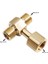 Co2 Tankı Adaptörü, Soda Silindiri Pirinç Co2 Silindiri Tankı W21.8-14 Adaptör Dönüştürücü T Adaptörü T-Adaptör 1 Ila 2 W21.8-14 (Yurt Dışından) 4
