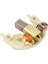 2 Adet Fırça Tutucu Dewalt DCD930 DCD950 DCD980 DCD985 N031214 Güç Aracı Aksesuarları Elektrikli Aletler Parçası (Yurt Dışından) 2