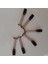 6 Adet Karbon Fırçalar Dremel 4000 90930-04 2615298790 595 395 300 6000 300 215 217 100 Dreme-L Döner Takım Motoru (Yurt Dışından) 5
