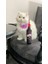 Meowine Catnipli Peluş Kedi Oyuncağı Hışırtı Sesli Peluş Kedi Oyuncağı Kediler İçin Kicker Oyuncak 8