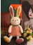 48CM Tavşan Peluş Oyuncak Sevimli Hediye Bebek Bebek Uyku Dekoratif Yastık (Yurt Dışından) 2