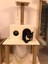 Zooplus Tower XXL Kedi Tırmalama Ve Oyun Evi Platformu 5