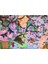 1000 Parça Cherry Blossom Time Puzzle 1