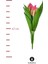 Yapay Tek Dal Lilyum ( Pembe ) 1