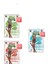 Stick Kedi Ödülü (3x5 gr) 30 Adet 1