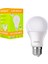 E27-220V 9 Watt 6500K Beyaz LED Ampul-Findit 1