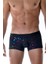 Boxer Briefs 2