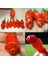 Gerçek Doğal Peter's Pepper (Biber) Tohumu (4 Tohum) 1