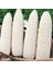 Ata Tohum Geleneksel Hickory King White Beyaz Süt Mısırı Tohumu(5 Tohum) 1